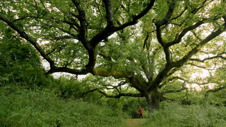 Naslovna Fotografija 2